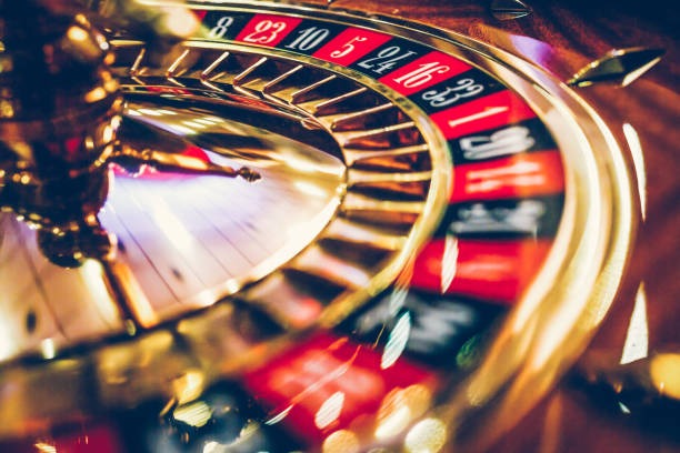 Live-dealer table interface on hoki jitu platform